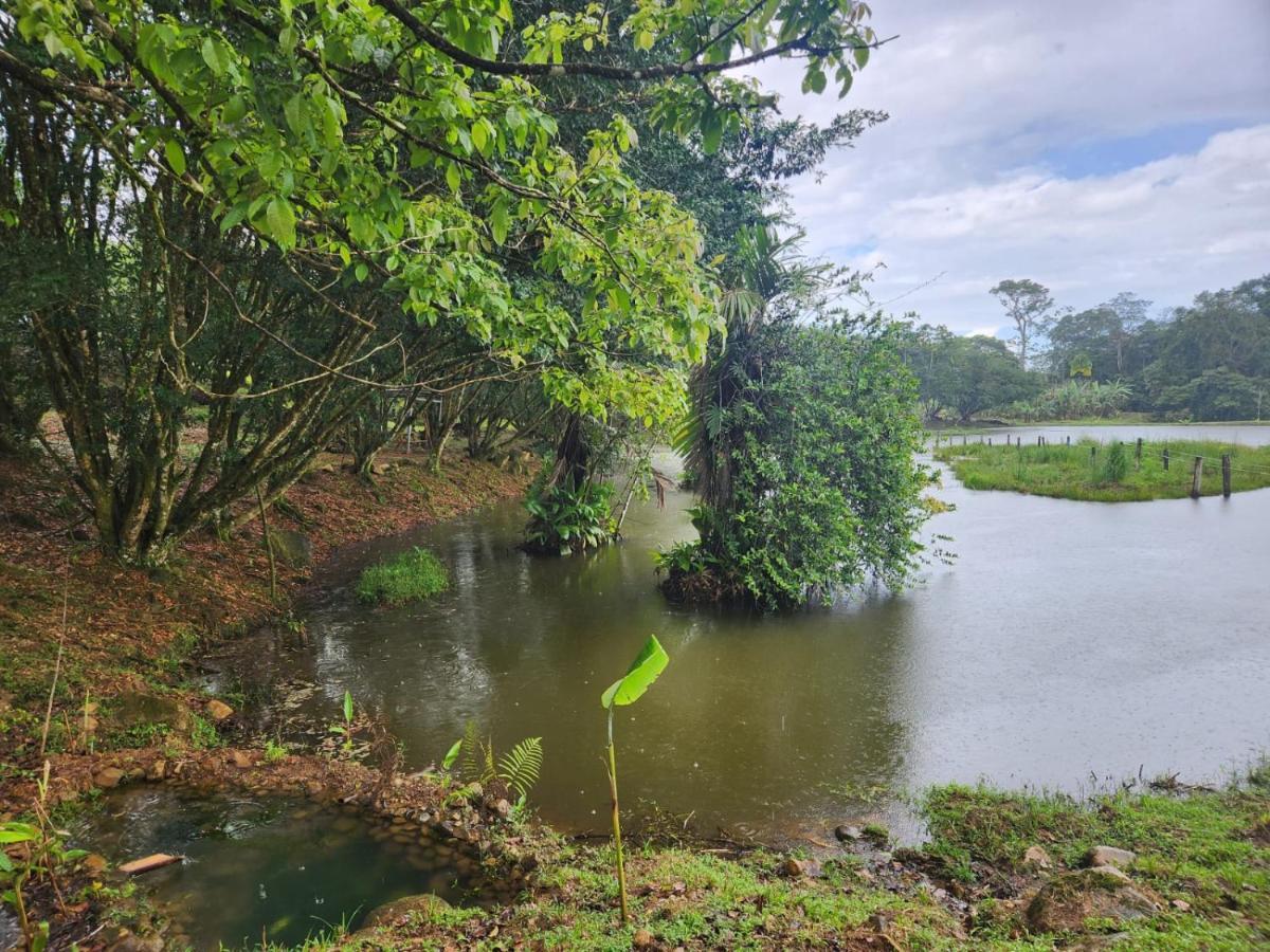 La Pina, Rio Celeste Aparthotel Luaran gambar