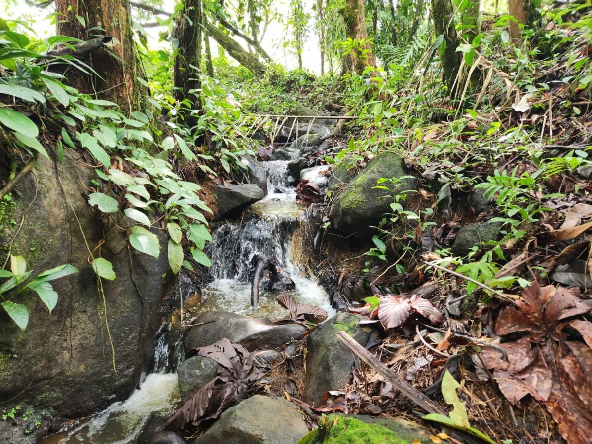 La Pina, Rio Celeste Aparthotel Luaran gambar